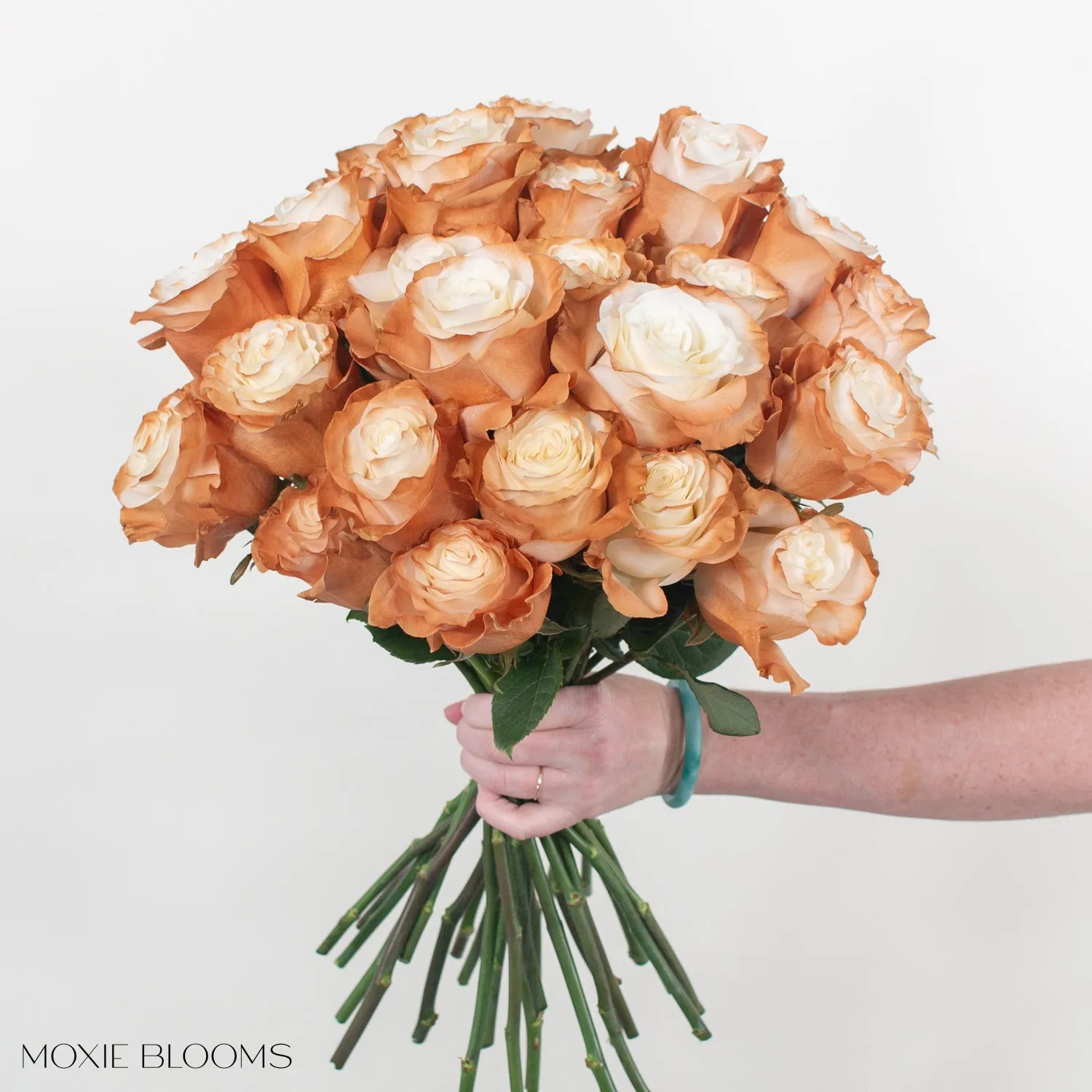 Cinnamon Edge Novelty Roses