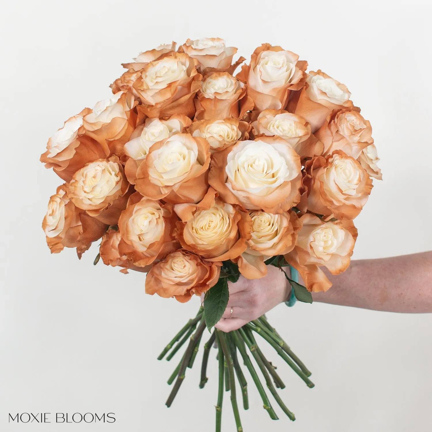 Cinnamon Edge Novelty Roses